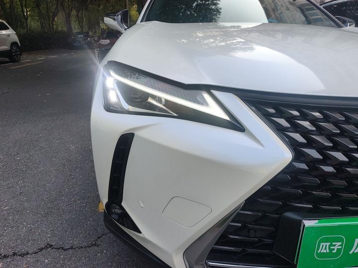 UX EV 2020 300e photo 7
