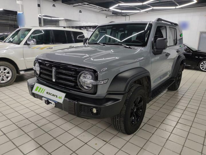 300 2021 Off-road 2.0T Conqueror