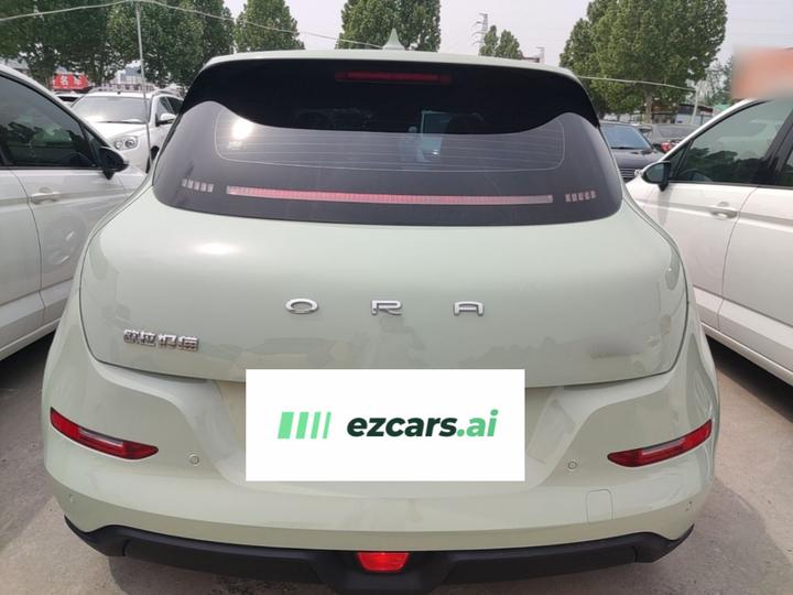 Good Cat 2022 400km Standard Range Premium LFP photo 3
