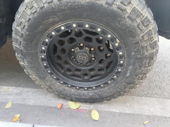 300 2021 Off-road 2.0T Conqueror photo 8
