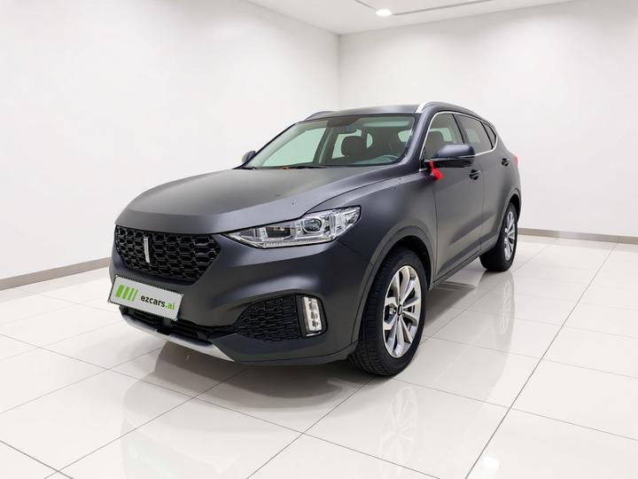VV6 2018 2.0T RWD Flagship China V