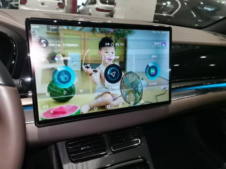 Han 2020 EV AWD Performance Flagship photo 8