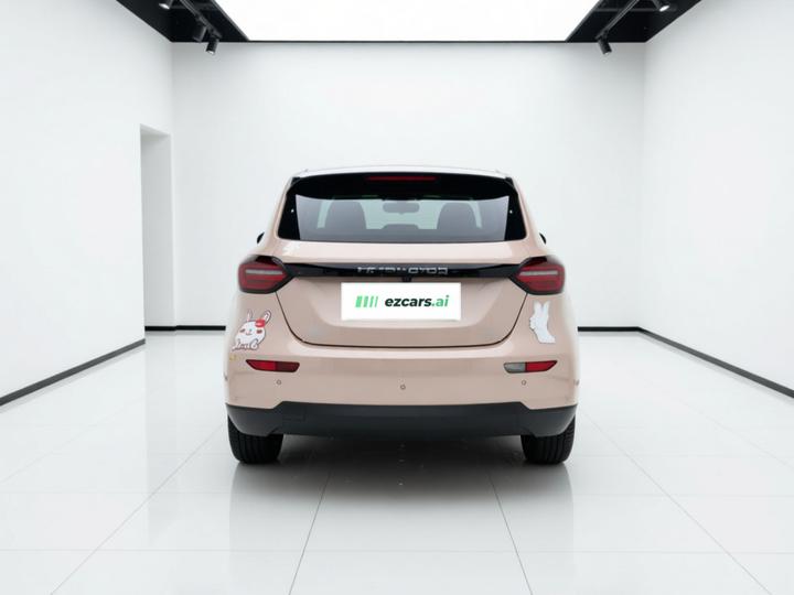 Leapmotor T03 2021 400 Luxury photo 5
