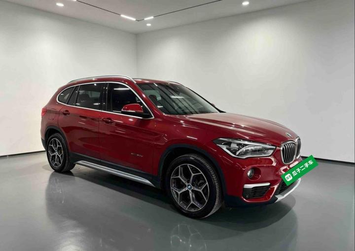 X1 2016 sDrive20Li Luxury photo 3