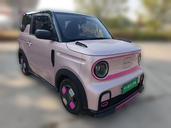 2025 210km Panda photo 3