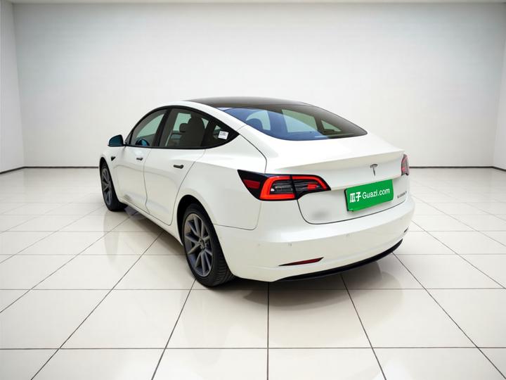 Model 3 2022 RWD photo 4