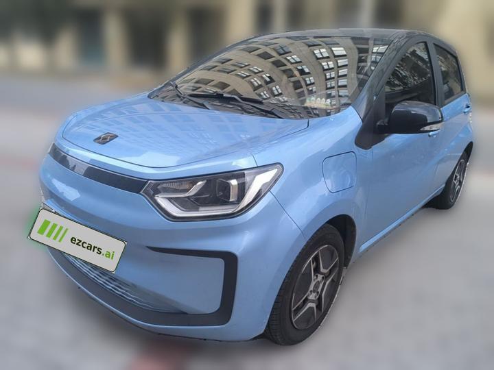 Sehol Flower Fairy 2021 302km Fashion 31.4kWh