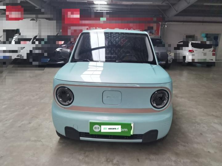 2024 Panda mini 200km Endurance Bear photo 2
