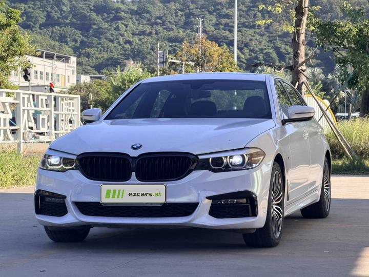5 Series 2019 530Li Leading M Sport Package