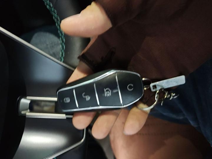Qin L 2024 DM-i 80KM photo 8