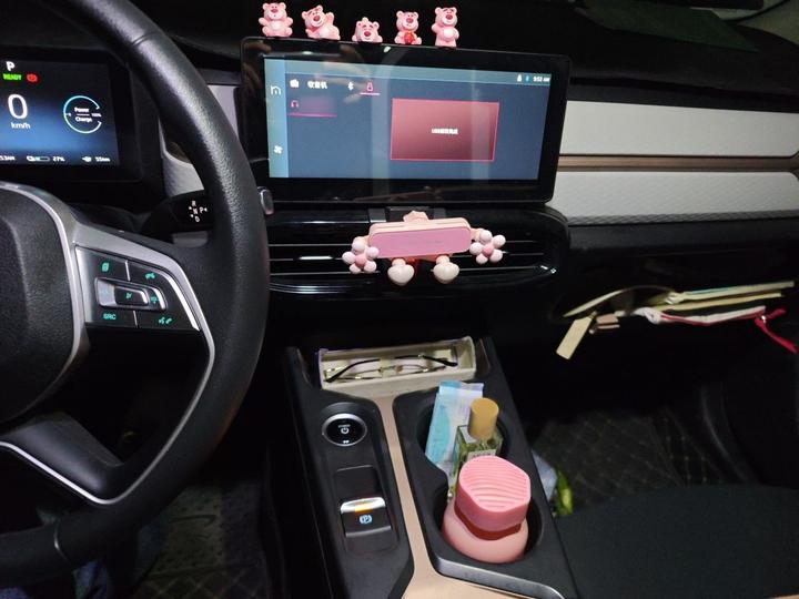 Sehol Flower Fairy 2023 200km 30kW photo 5