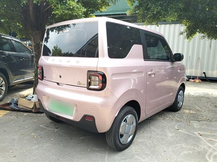 2023 Panda mini 200km Endurance Bear photo 6