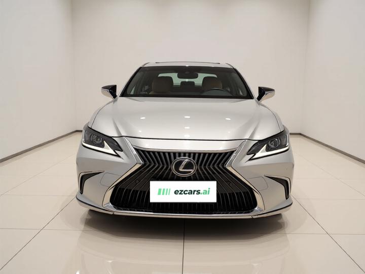 ES 2018 300h Excellence China V photo 2