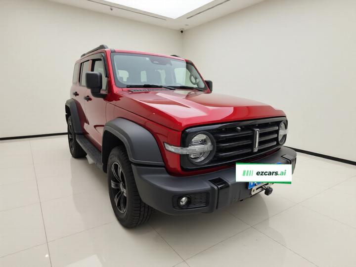 300 2021 Off-road 2.0T Conqueror photo 3