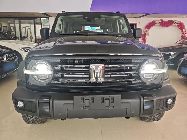 300 2021 Off-road 2.0T Conqueror photo 2