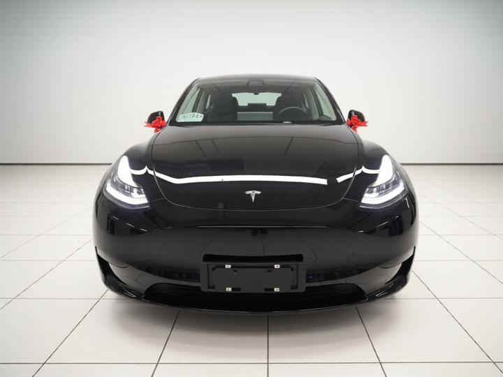 Model Y 2021 Standard Range RWD photo 2