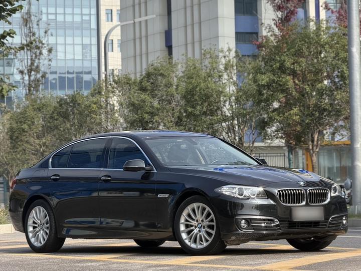 5 Series 2017 525Li Luxury Design Package photo 3