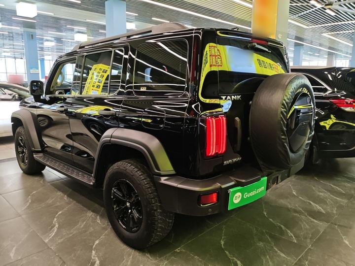 300 2023 Off-road 2.0T Conqueror photo 4