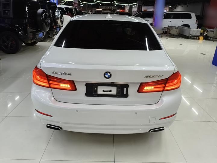 5 Series 2018 528Li Special photo 5