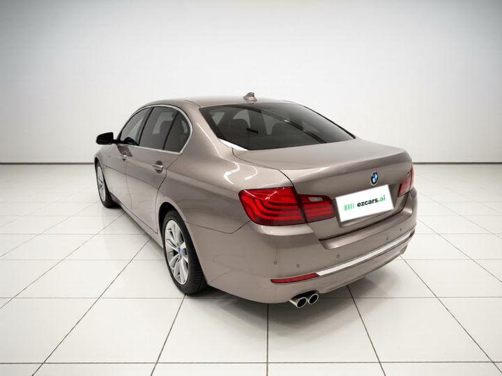 5 Series 2017 525Li Luxury Design Package photo 4