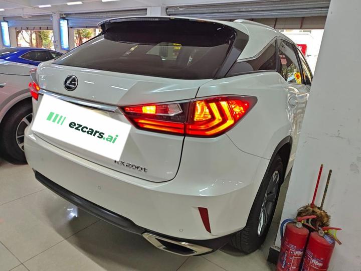 RX 2016 300 RWD Comfort China V photo 4