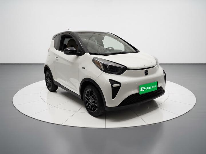 QQ Little Ant 2024 321km photo 3