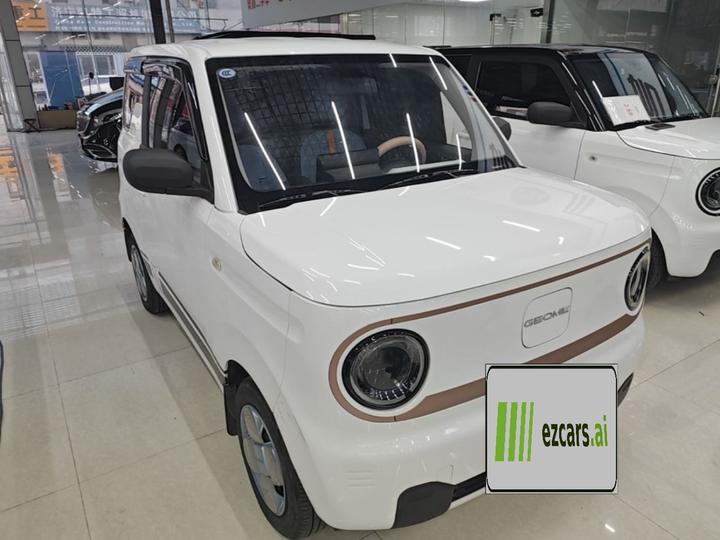 2024 Panda mini 200km Endurance Bear photo 5