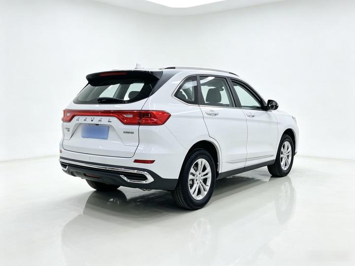 M6 2021 PLUS 1.5T DCT Luxury Connected photo 6