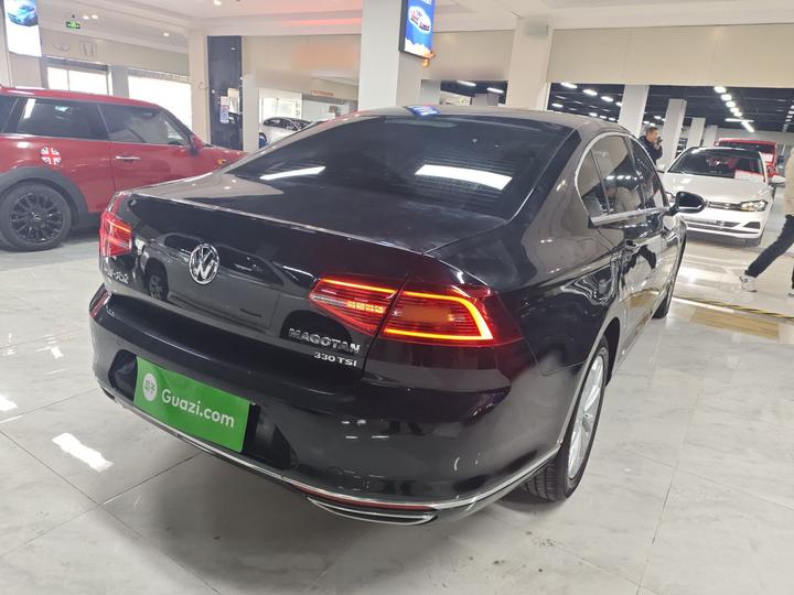 Magotan 2017 330TSI DSG Luxury photo 4