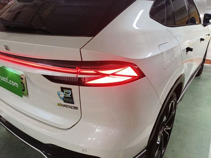RX5 EV 2023 eRX5 photo 7