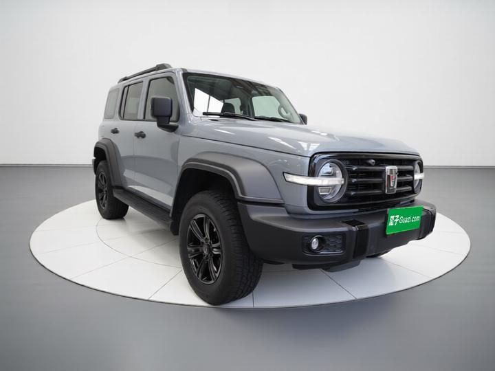 300 2021 Off-road 2.0T photo 3