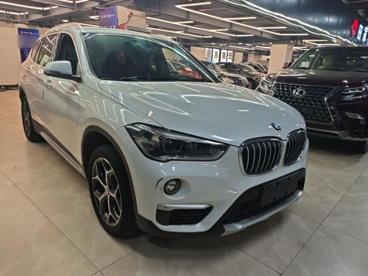 X1 2019 xDrive20Li Exclusive photo 3