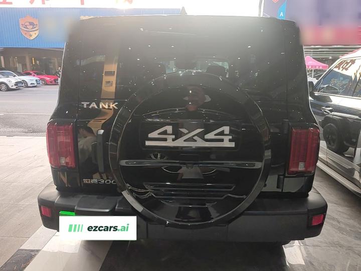 300 2021 Off-road 2.0T Conqueror photo 5