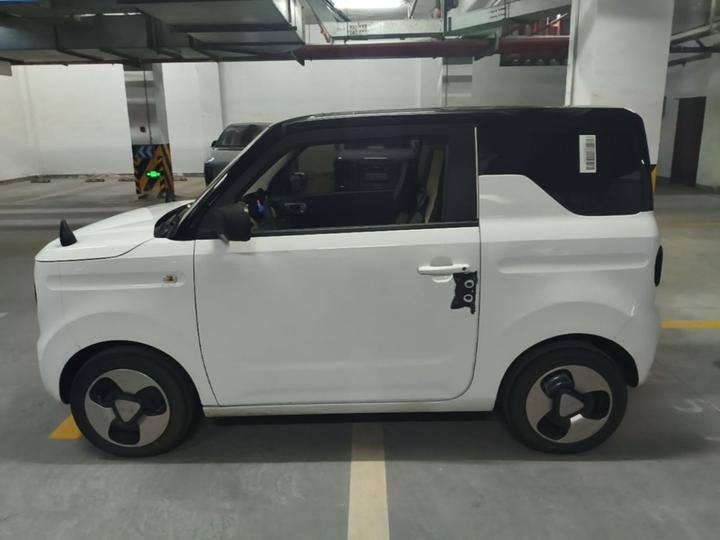 2023 Panda mini photo 4