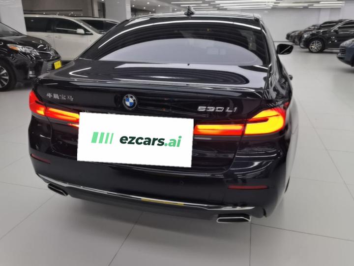 5 Series 2023 530Li Leading Luxury photo 5