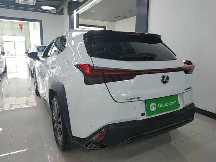 UX 2019 260h F SPORT China VI photo 4