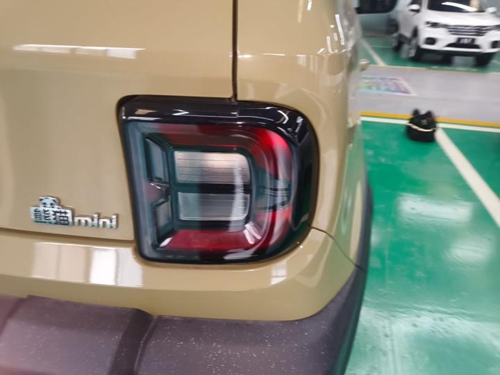 2025 210km Panda photo 7