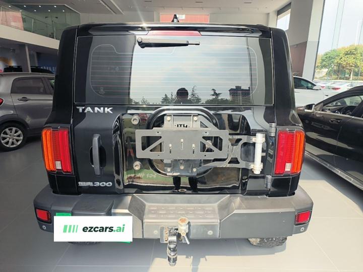 300 2021 Off-road 2.0T Conqueror photo 5