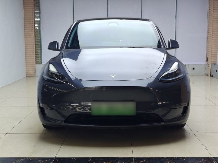 Model Y 2021 Long Range AWD photo 4