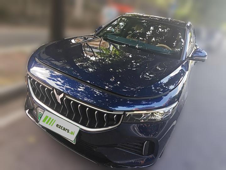 Voyah FREE 2021 AWD Standard EREV Luxury