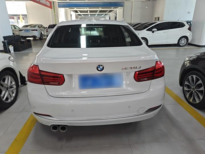 3 Series 2019 320Li Fashion photo 5