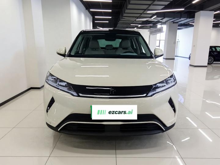 Yuan UP 2025 301KM Pilot photo 2