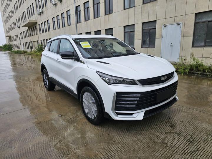 2025 Binyue L 1.5TD DCT photo 3