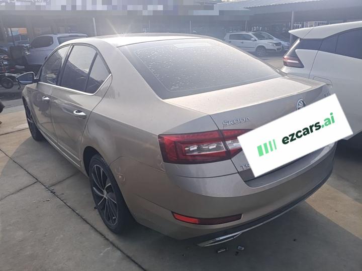 Octavia 2019 TSI280 DSG Luxury photo 4