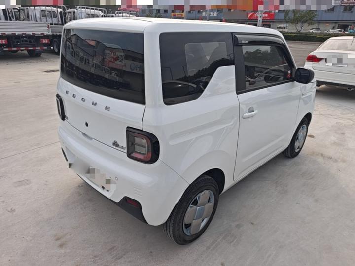2023 Panda mini 200km Endurance Bear photo 6