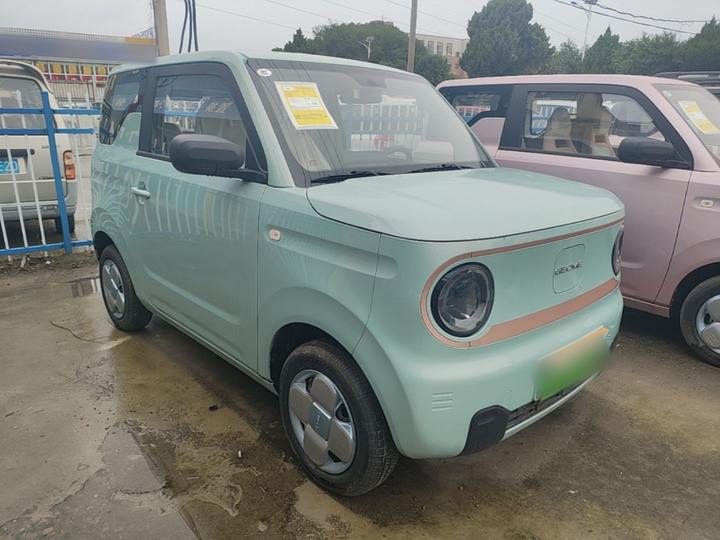 2023 Panda mini 200km Endurance Bear photo 3