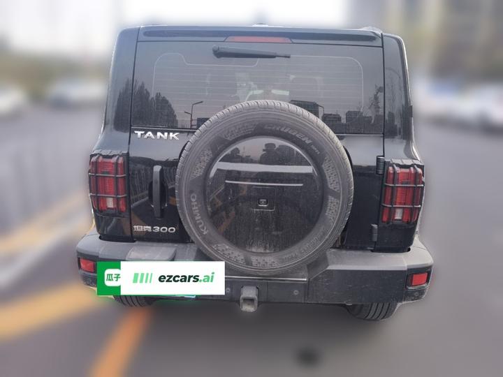 300 2023 Off-road 2.0T Conqueror photo 5