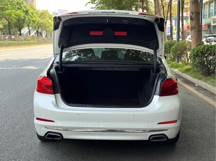 5 Series 2020 530Li Exclusive Luxury photo 8