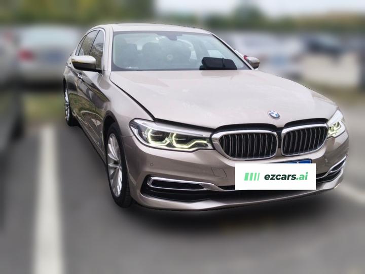 5 Series 2019 Facelift 530Li xDrive Luxury photo 3