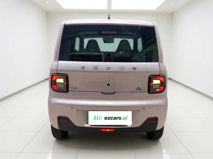 2024 Panda mini 200km Endurance Bear photo 5